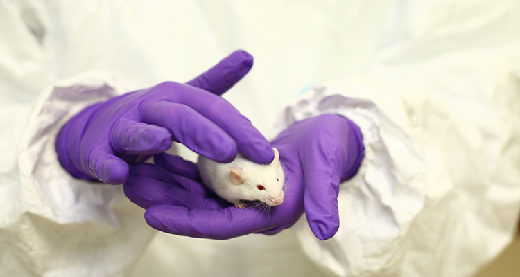 new operator - What is the 'new' keyword in JavaScript? - Stack OverflowNumber of questions askedNumber of questions that received an answerNumber of comments postedNumber of upvotes on postsPopular tagsPopular unanswered question visual data 8